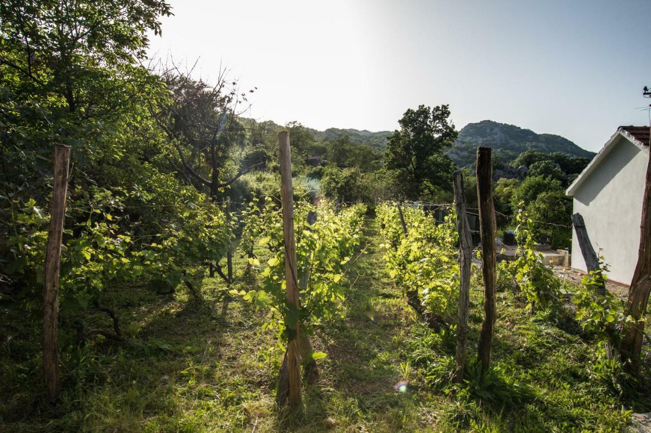 Banjo Rustic House Lake View Virpazar Exterior photo